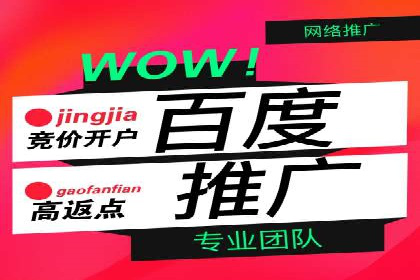 某企业通过SEM运营实现业绩翻倍的秘诀
